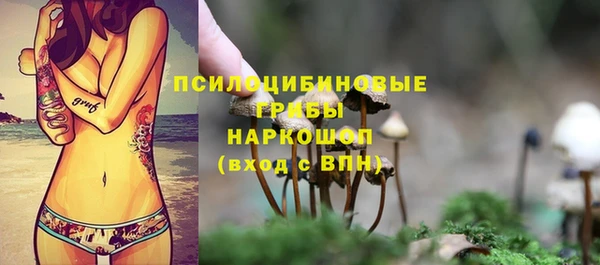 не бодяженный Алексин