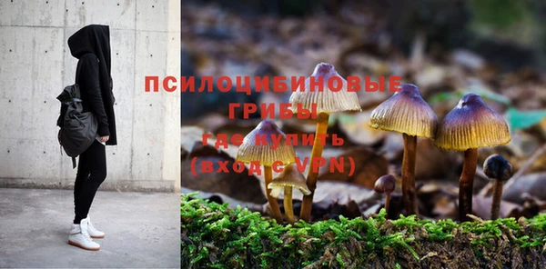 не бодяженный Алексин