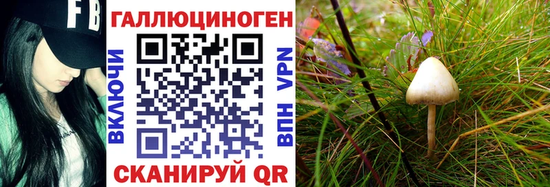 Псилоцибиновые грибы Magic Shrooms  Геленджик 